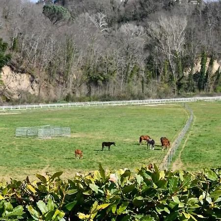 Daire Le Scuderie Del Palio