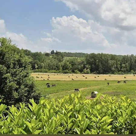 Le Scuderie Del Palio Appartement Sienne