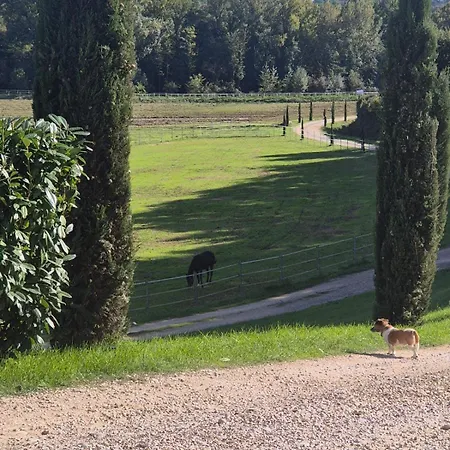 Le Scuderie Del Palio *