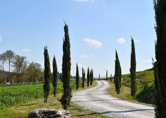 Le Scuderie Del Palio Daire *