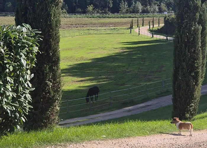 Le Scuderie Del Palio *