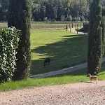 Le Scuderie Del Palio *