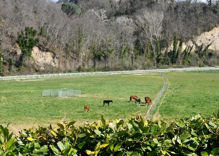 شقة Le Scuderie Del Palio
