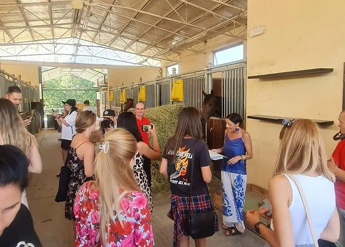 Le Scuderie Del Palio شقة *