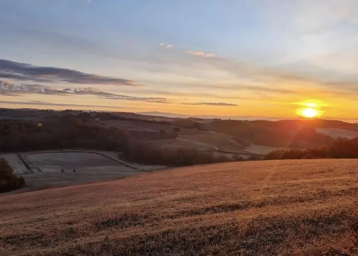 Le Scuderie Del Palio
